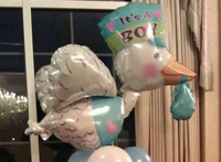 balon barza botez